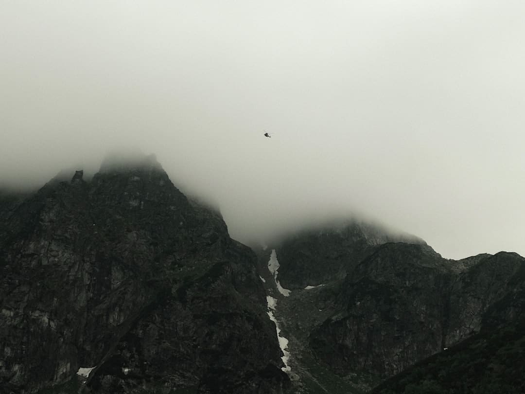 祥芝镇十八届人大八次会议举行